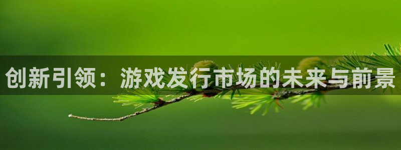 非凡游戏登录注册账号安全吗可靠吗：创新引领：游戏发行市场的未来与前景