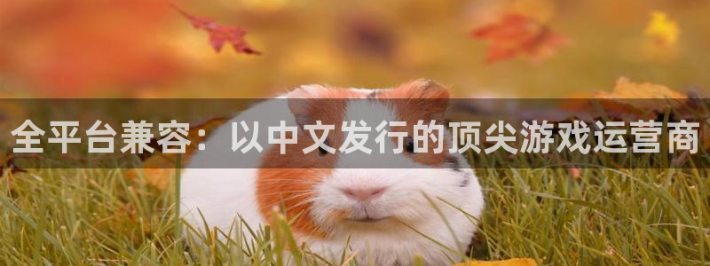 非凡游戏解绑银行卡怎么解绑