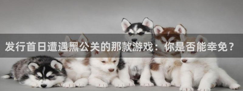 非凡游戏官网注册账号：发行首日遭遇黑公关的那款游戏：你是否能幸免？