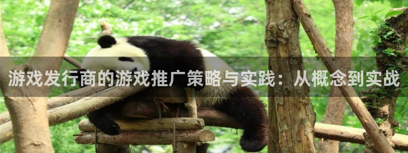 非凡游戏官网科技有限公司