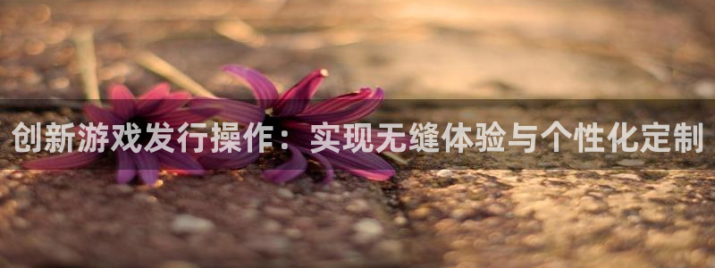 非凡游戏官网品牌顾问有限公司：创新游戏发行操作：实现无缝体验与个性化定制