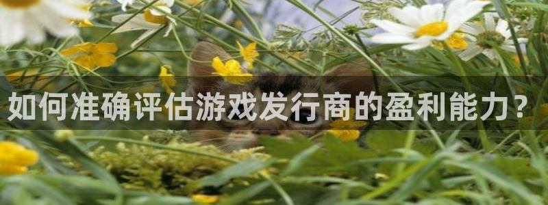 非凡游戏登录注册不了怎么回事：如何准确评估游戏发行商的盈利能力？