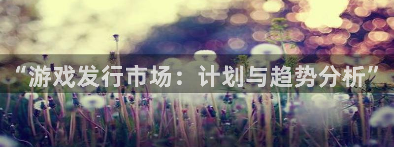 深圳非凡游戏官网电商