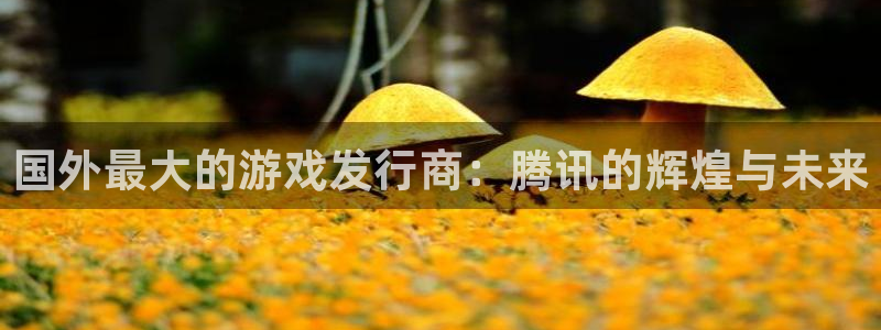 非凡游戏官网军团是哪个国家队