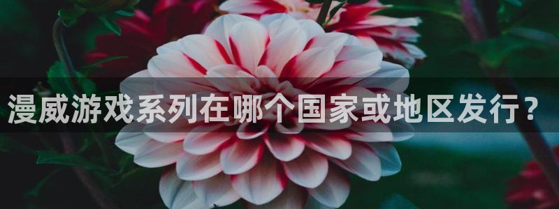 非凡游戏客服服务