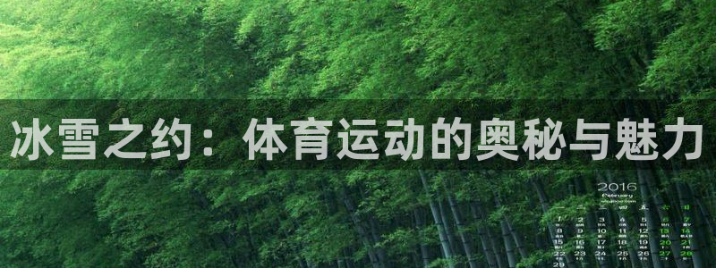 k1体育网址是多少